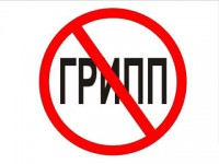 В Томской области подтверждено 36 случаев свиного гриппа