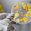 Организация и проведение дезинфекционных мероприятий при  энтеровирусных (неполио) инфекциях