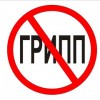 В Томской области подтверждено 36 случаев свиного гриппа